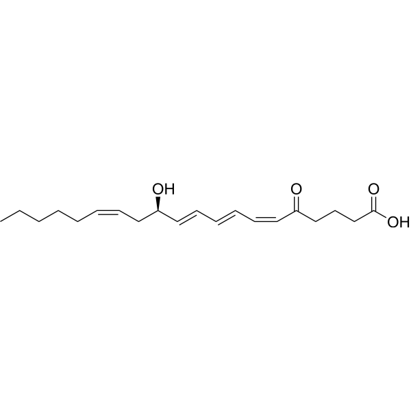 5-Oxo leukotriene B4 195061-92-8